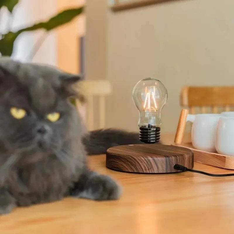 Magnetic Levitation Lamp