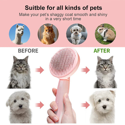 Brush for Cats Remove Hairs Pet Cat Hair